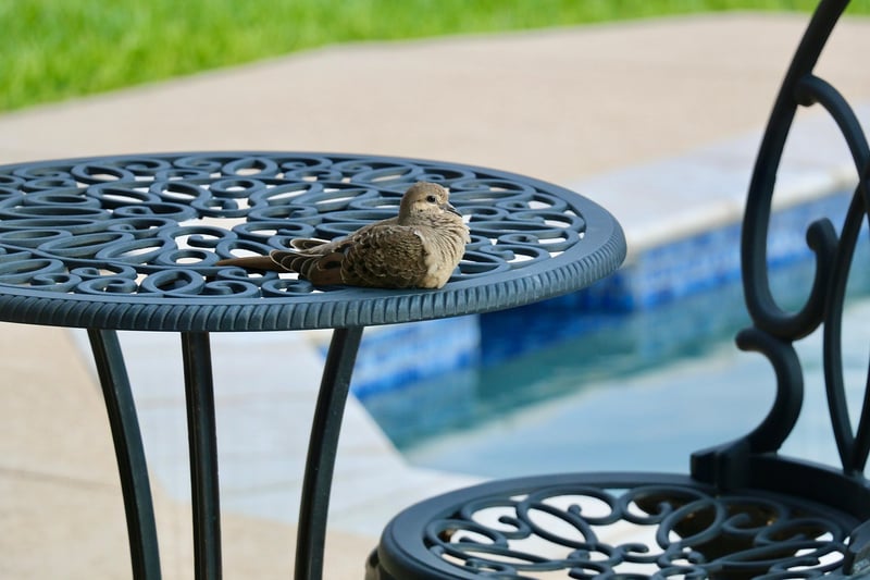 Outdoor furniture transformations